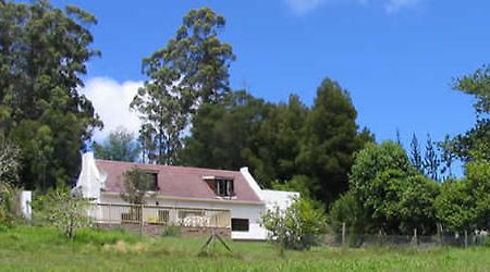 Masescha Country Estate Guest House Plettenberg Bay Eksteriør bilde