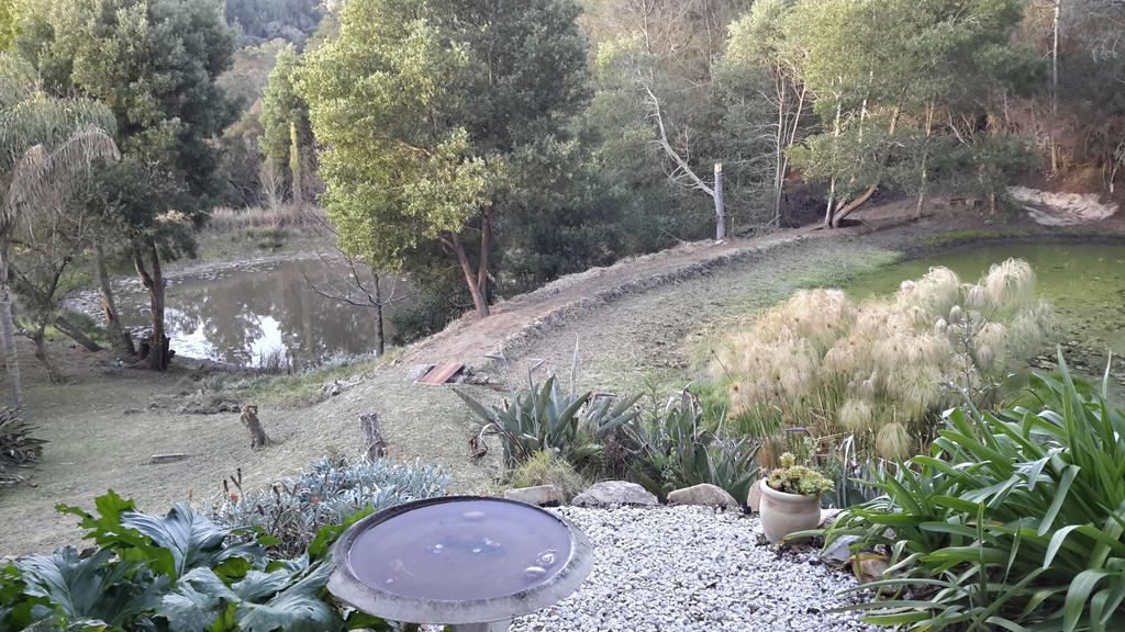 Masescha Country Estate Guest House Plettenberg Bay Eksteriør bilde